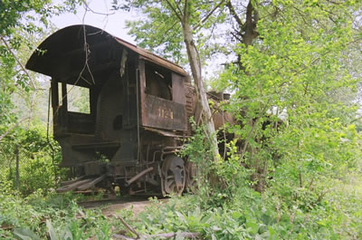 Engine No. 1134 in the Weeds